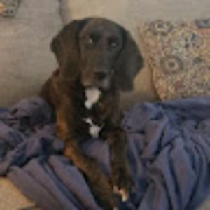 Meet your Posher, Bret